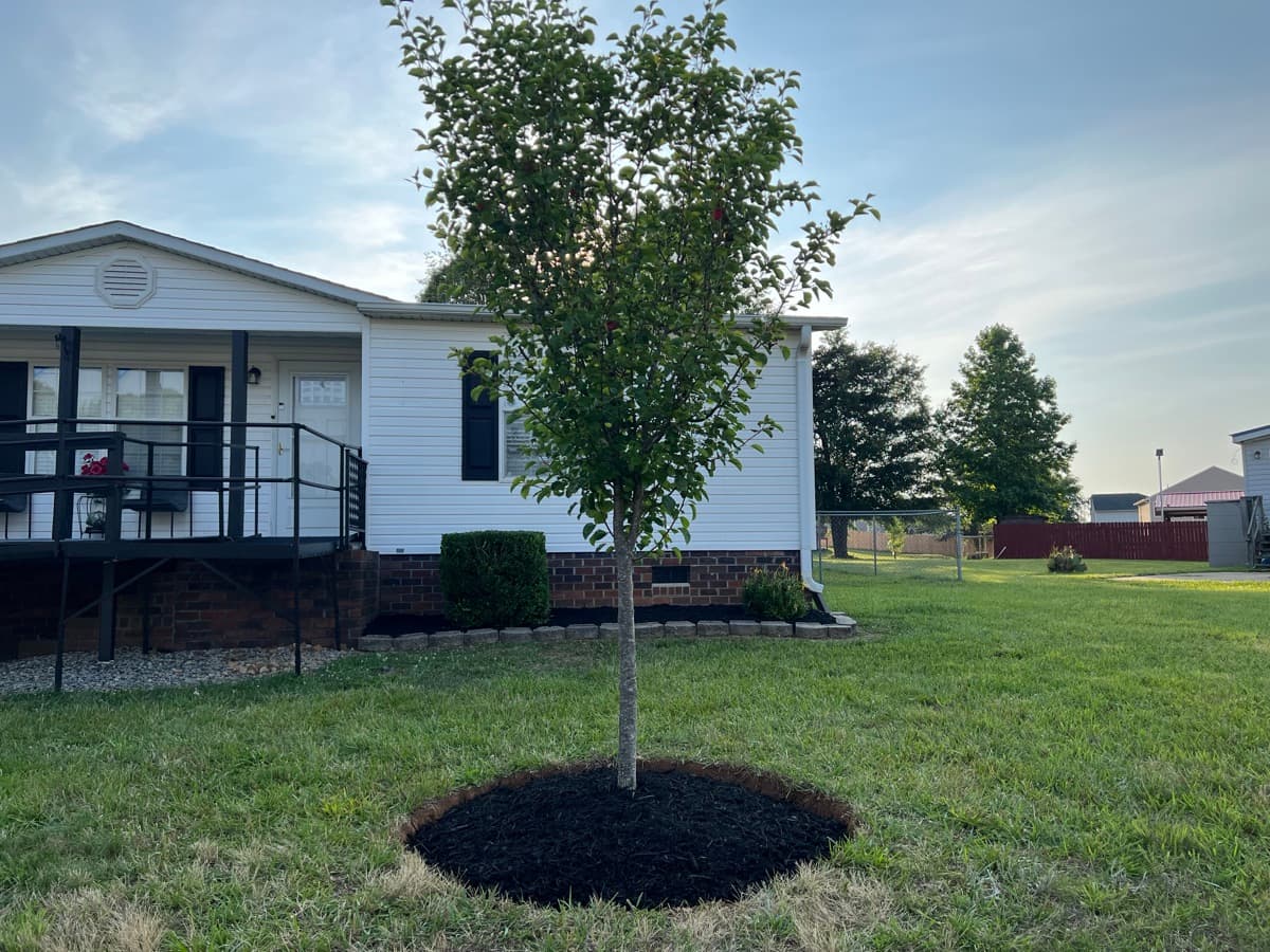 Marina Lawn Care — lawn care job photo