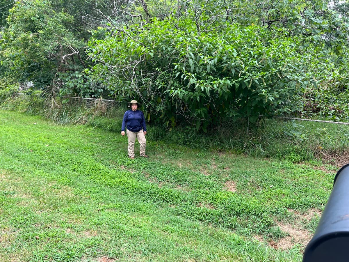 Marina Lawn Care — lawn care job photo
